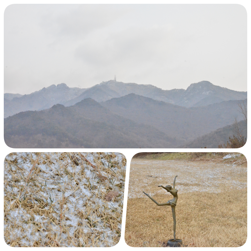 2026년 1월 다스림 명상 연수 2일차